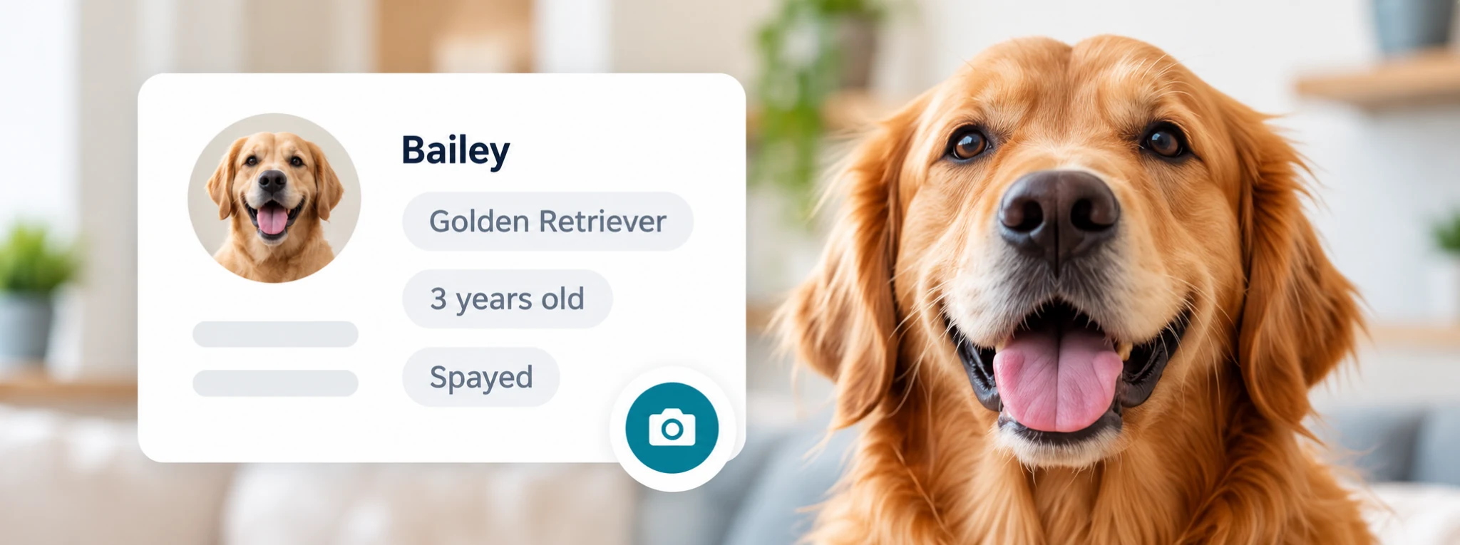 Dog customer and pet profile